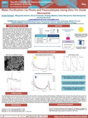ECCS Poster APedrosa.pdf